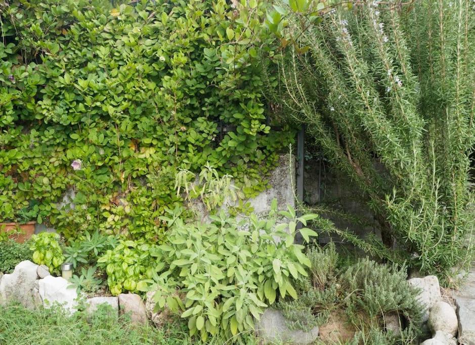 La Tua Villa Sul Lago - Casa Kollegger Луїно Екстер'єр фото